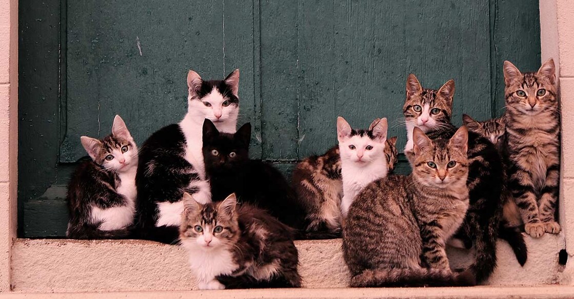 (Credit:Themickymike/IStock)