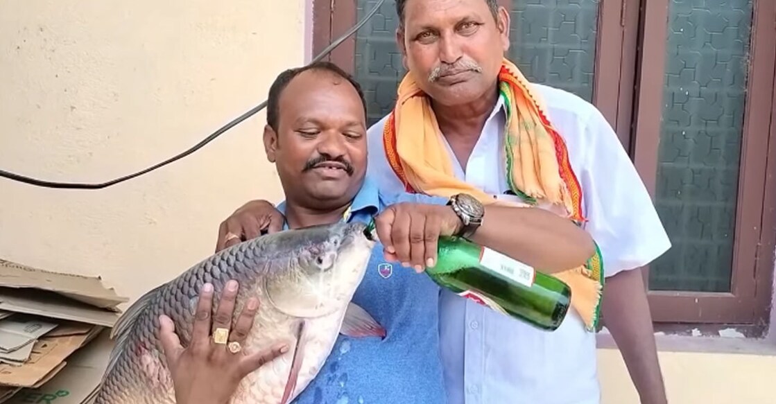 fish-beer fish-beer