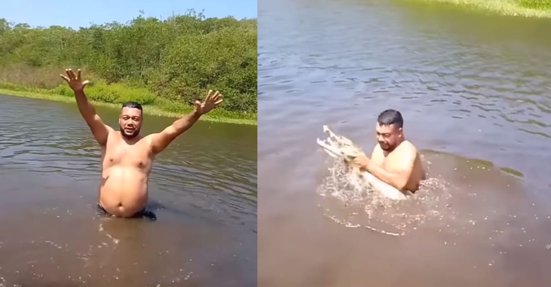 crocodiles (Photo:Instagram/bajoellente12)