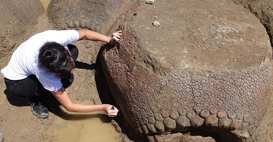 glyptodon-env