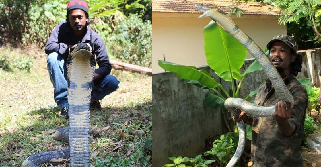 സന്തോഷ് കുമാർ (Photo:X/@Srinietv2)