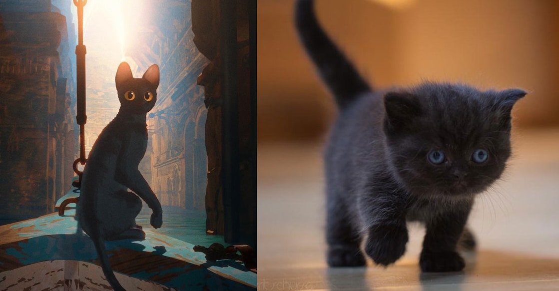 black-cats-movie