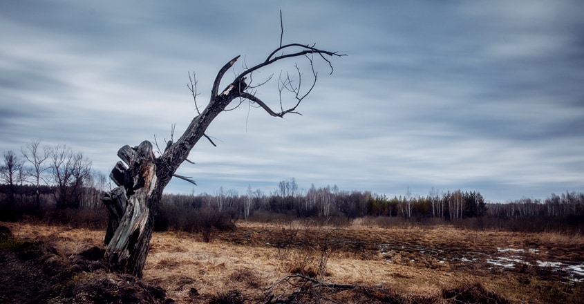 climate change climate change