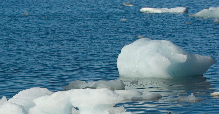 Antarctica Antarctica