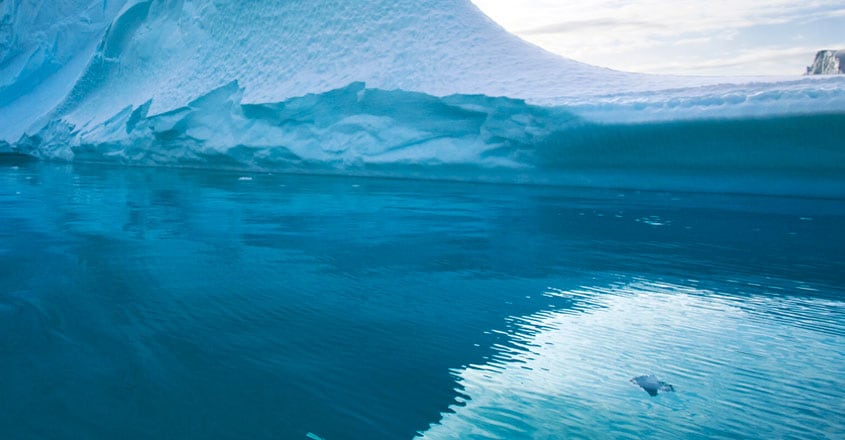 Antarctica Antarctica
