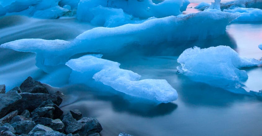 Antarctica Antarctica
