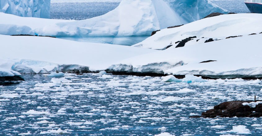 Antarctica Antarctica