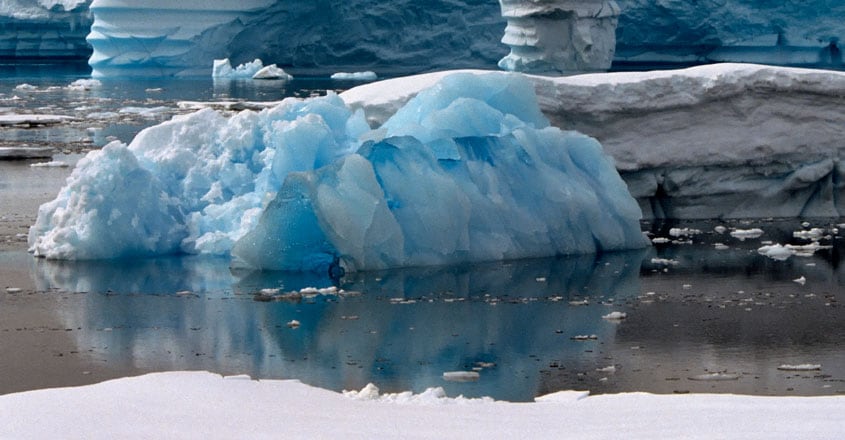 Antarctica Antarctica
