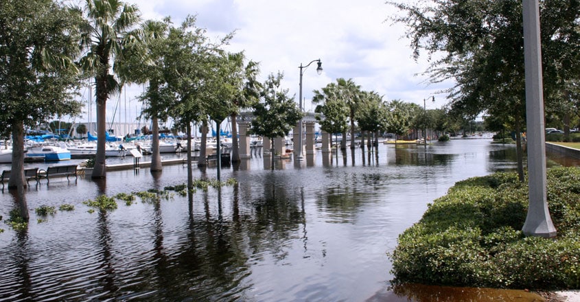 Florida Florida