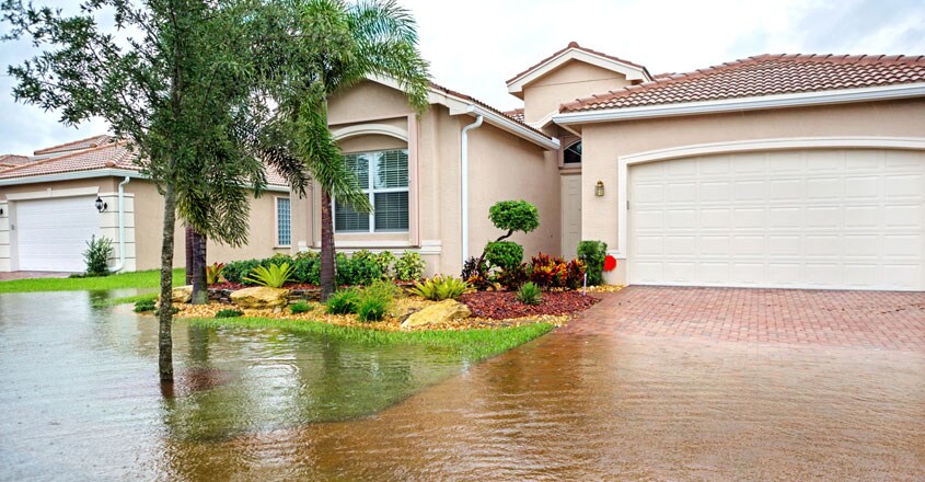 Florida Florida
