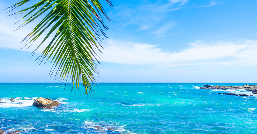 Ocean Ocean