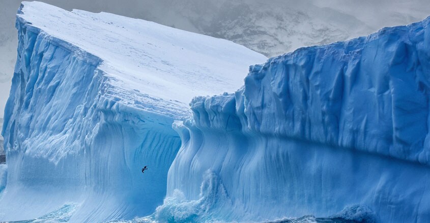 Antarctic Antarctic