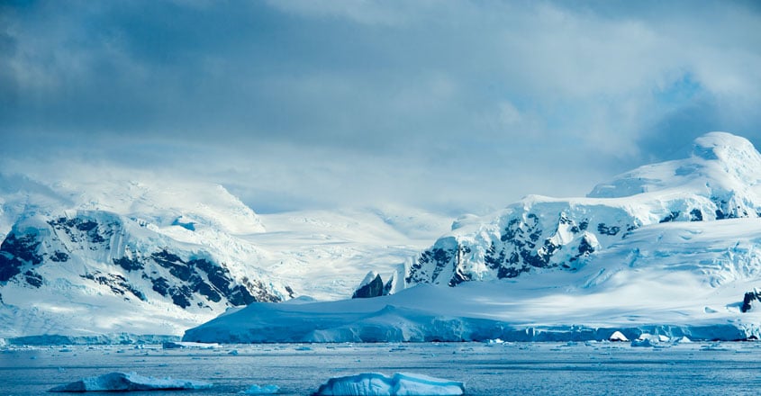 Antarctic Antarctic