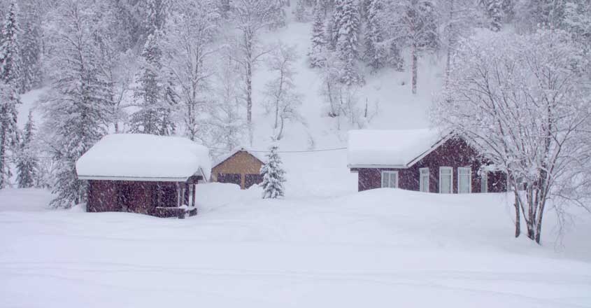 Siberia Siberia