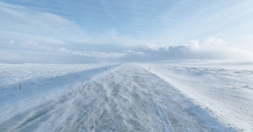 Antarctica Antarctica
