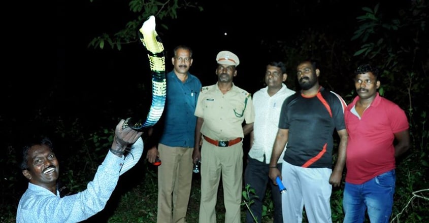 Vava Suresh Rescuing King Cobra Vava Suresh Rescuing King Cobra