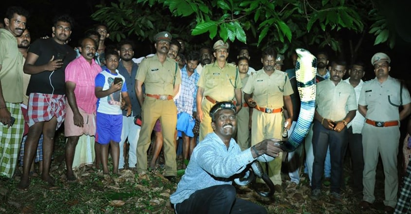 Vava Suresh Rescuing King Cobra Vava Suresh Rescuing King Cobra