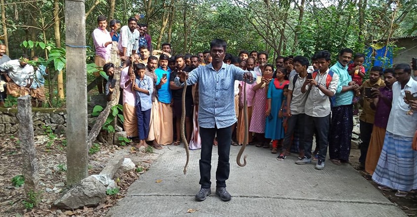 Vava Suresh Rescuing two vipers in kollam Vava Suresh Rescuing two vipers in kollam