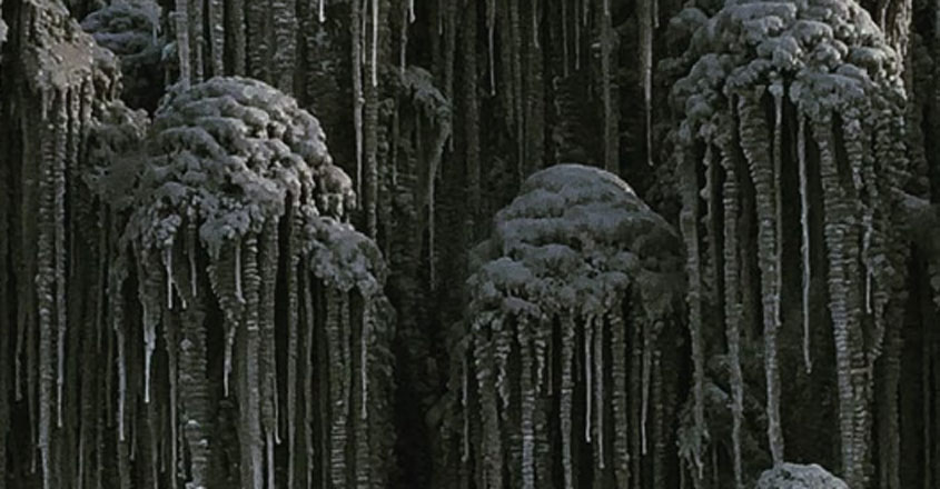 Black Snow Is Falling Down In Siberia Black Snow Is Falling Down In Siberia