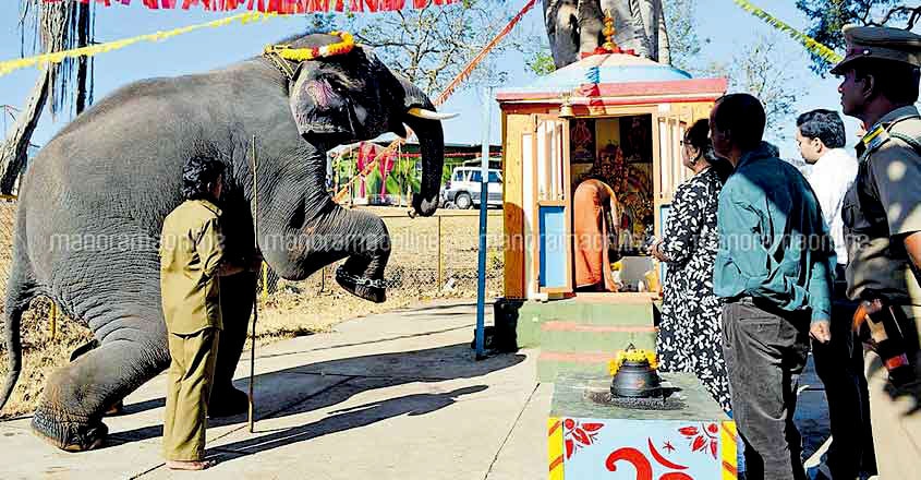 Theppakadu Elephant Camp Theppakadu Elephant Camp