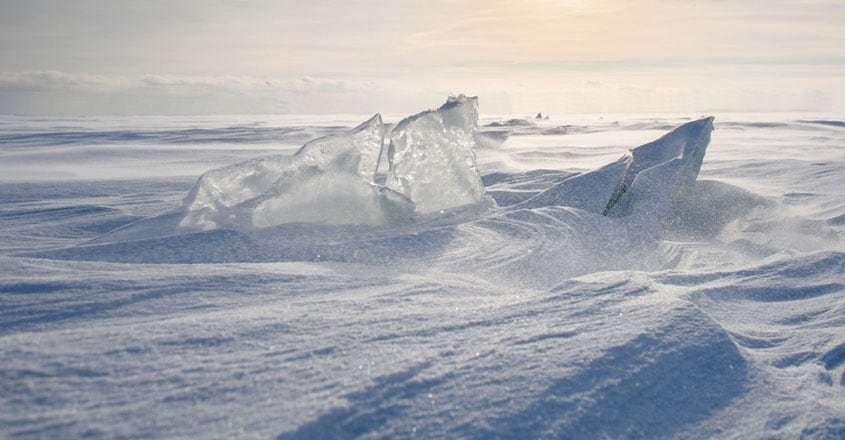 Antarctica Antarctica
