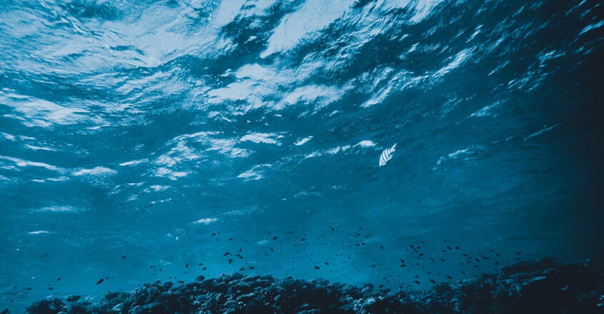 Ocean Ocean