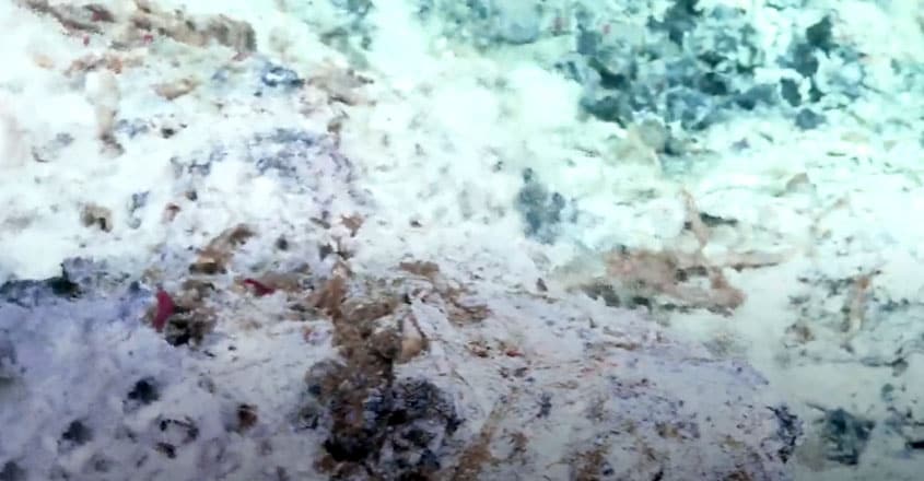 Mesmerizing Mirror Pools Discovered On Ocean Floor Mesmerizing Mirror Pools Discovered On Ocean Floor