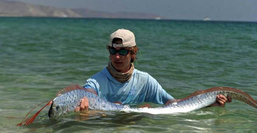 Fishermen release juvenile oarfish back into the ocean Fishermen release juvenile oarfish back into the ocean