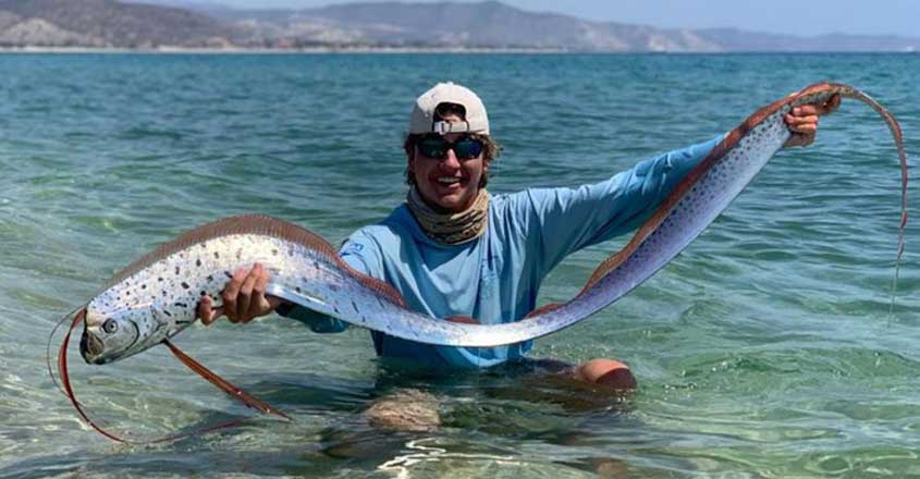 Fishermen release juvenile oarfish back into the ocean Fishermen release juvenile oarfish back into the ocean