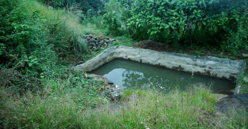 Eldho Pachilakkadan, this one-time architect has turned barren land into a fruit forest Eldho Pachilakkadan, this one-time architect has turned barren land into a fruit forest