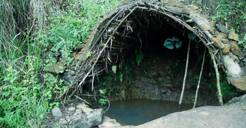 Eldho Pachilakkadan, this one-time architect has turned barren land into a fruit forest Eldho Pachilakkadan, this one-time architect has turned barren land into a fruit forest