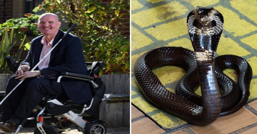 A British father is battling blindness and paralysis after being bitten by a black king cobra in India 