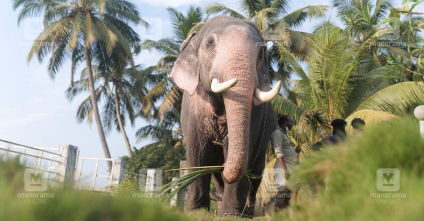 Vembanad Arjunan Vembanad Arjunan