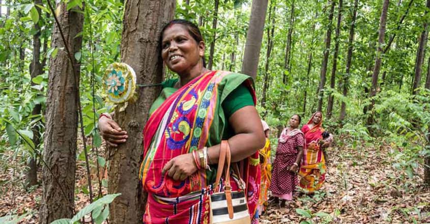 Jamuna Tudu’s fight against the forest mafia