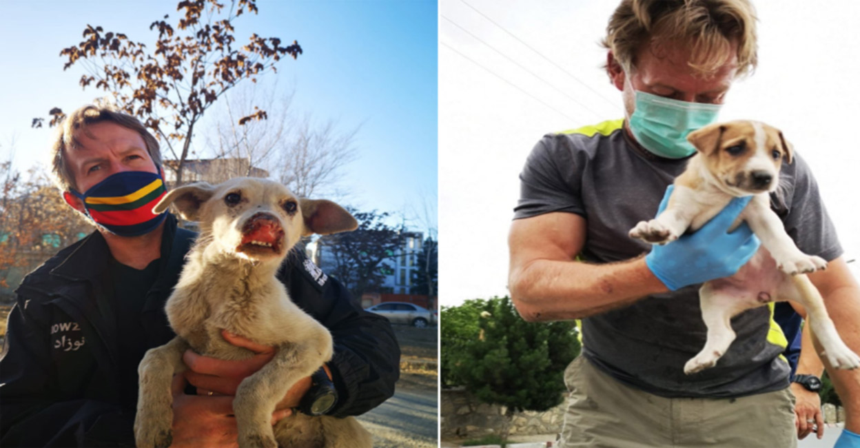 പെന്‍ ഫാര്‍തിങ് കാബൂൾ വിടുന്നത് 200 വളർത്തു മൃഗങ്ങൾക്കൊപ്പം; വിജയം കണ്ട പോരാട്ടം! Pen Farthing