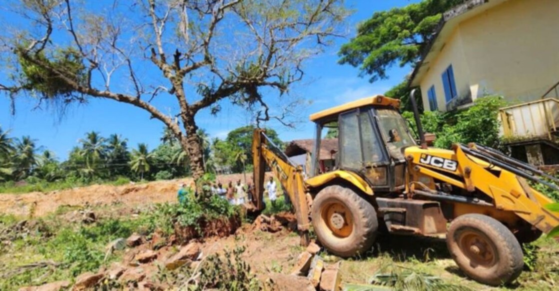 Uprooted: 200 years old gooseberry tree transplants