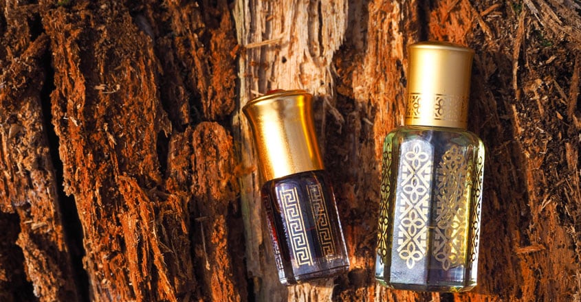 perfume tree agarwood perfume tree agarwood
