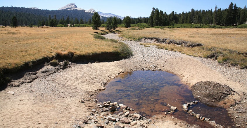 Drought Drought