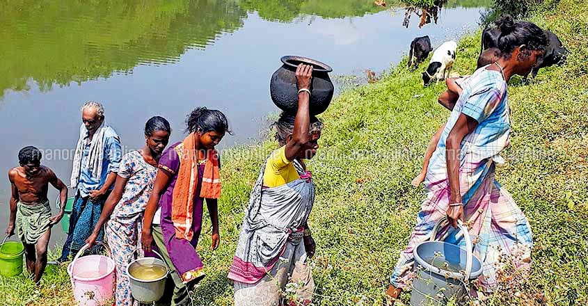 wayanad-water-scarcity wayanad-water-scarcity