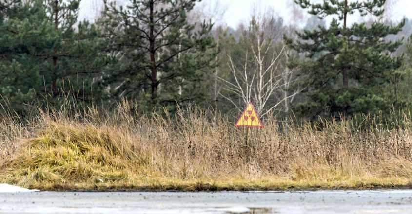 Chernobyl's Red Forest Chernobyl's Red Forest