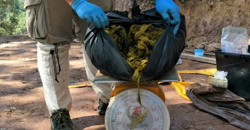 A Deer Was Found Dead in Thailand With Over 7 Kgs of Plastic in Its Stomach A Deer Was Found Dead in Thailand With Over 7 Kgs of Plastic in Its Stomach