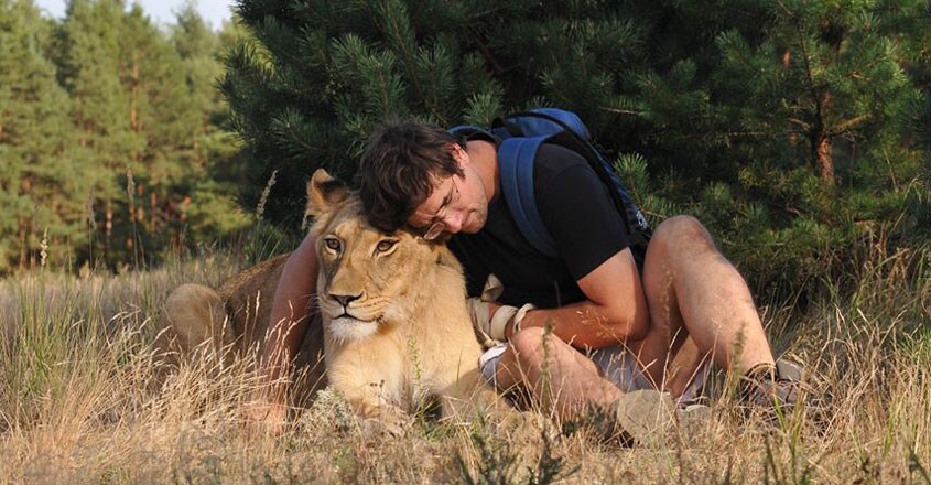 Czech Man Killed By Pet Lion Czech Man Killed By Pet Lion