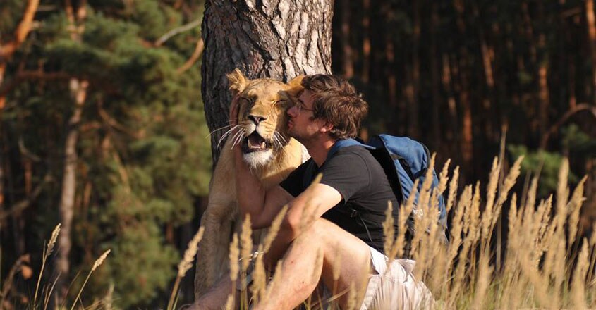 Czech Man Killed By Pet Lion Czech Man Killed By Pet Lion