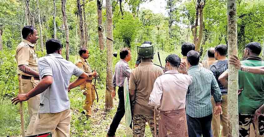 Forest Officials Forest Officials
