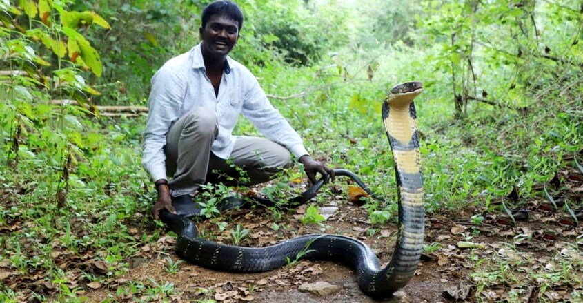 വാവ സുരേഷിന്റെ ആരോഗ്യനിലയിൽ പുരോഗതി | Vava Suresh | Snake Bite | Kottayam  News | Manorama News
