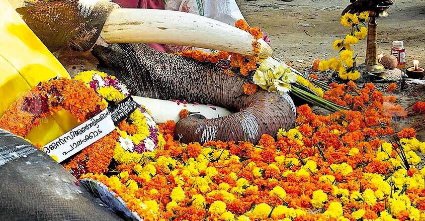 Gajaratnam Padmanabhan Gajaratnam Padmanabhan