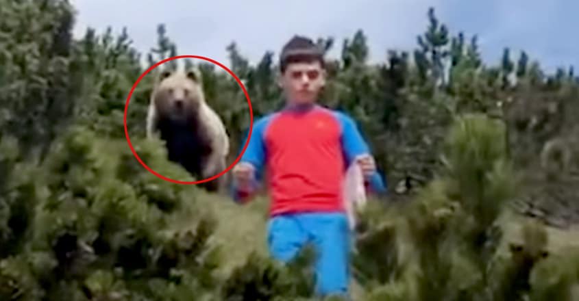 https://img-mm.manoramaonline.com/content/dam/mm/mo/environment/wild-life/images/2020/5/27/scary-video-shows-bear-following-boy-watch-how-he-avoided-an-attack.jpg