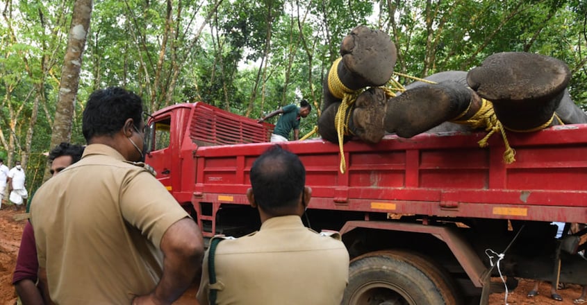 Popular elephant Kiran Ganapathy dies at 55 in Kottayam Popular elephant Kiran Ganapathy dies at 55 in Kottayam