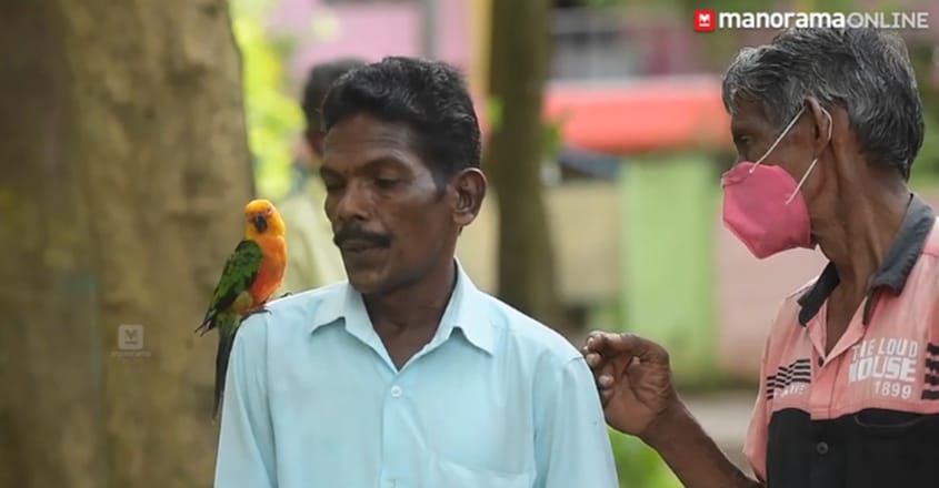Pet parrot rides on scooter with owner Pet parrot rides on scooter with owner