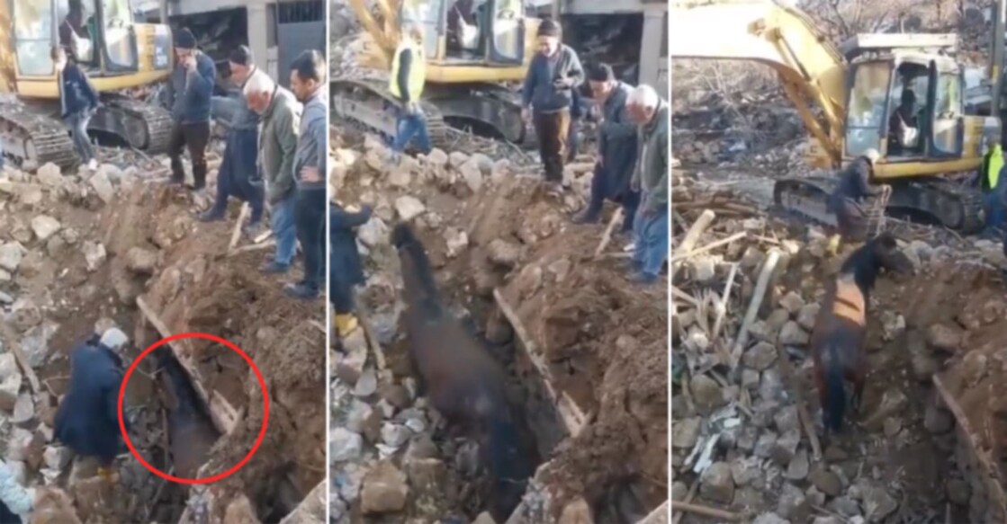 ദുരന്തം സംഭവിച്ചിട്ട് 21 ദിവസം; രക്ഷപ്പെടുത്തിയത് കെട്ടിടാവശിഷ്ടങ്ങ